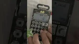 po33 Mini sampler #pocketoperator #musicproducer #sampler #po #synth #musicproducer