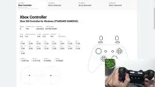 How to Perform a Simple Controller Test with the Nacon Revolution 5 Pro