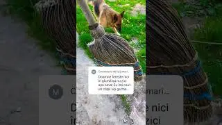 DESPRE ASTA ERA VORBA IN CLIP
