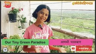 Our Tiny Green Paradise | आमची छोटीशी परसबाग | Kitchen Garden Plant Tour 2025”