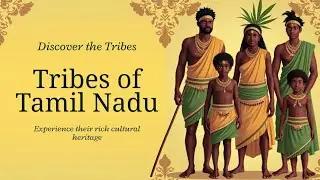 Unknown group of Tribes|6 major Tribes of Tamil Nadu|Buried Stories 