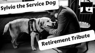 The Story Of Sylvia The Autism Service Dog