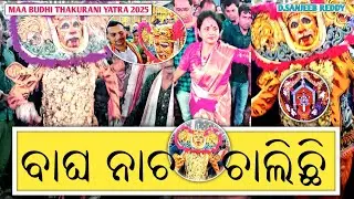 Bagha Nacha Challichi🐯👍!! ବାଘ ନାଚ ଚାଲିଛି ❤️।। Berhampur Maa Budhi Thakurani Jatra 2025!!