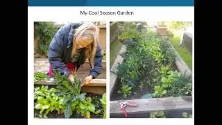 Growing Cool Season, Asian Vegetables