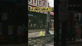 La linea gialla!!!