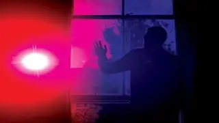 The Feels || The Body