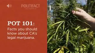 Pot 101: Facts You Should Know About CA's Legal Marijuana