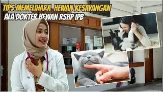 Kenali Jenis Penyakit, Penyebabnya, Pencegahan & Pengobatannya pada Kucing & Anjing
