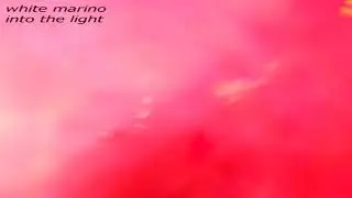 white marino - negotiaton domain