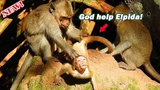 Don't go sis it's d-anger! Alberto very hard to keep baby Elpida stop leave him by scare got attack