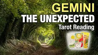 GEMINI THE UNEXPECTED 