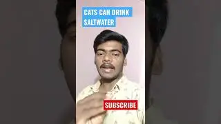 Cats can drink salt water while humans can't in tamil