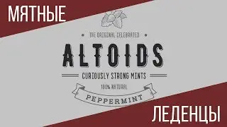 Популярные леденцы ALTOIDS | Survival Kit