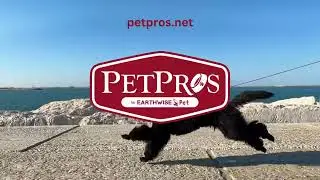 PetPros Poodle