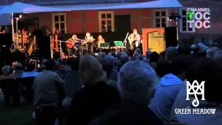 Green Meadow - Traditional Irish Folk Dance (live 2012)
