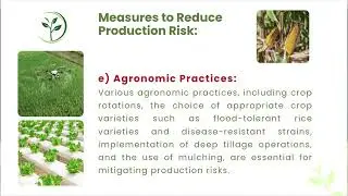 Measures for reducing Risk and Uncertainty in Agriculture