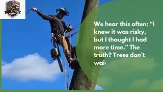 Tree Trimming in York, PA