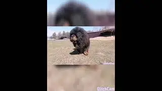 VideoGlitch 20220319 003050