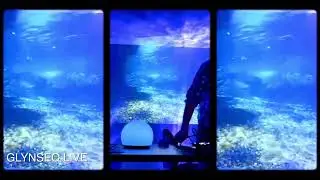 GLYNSEQ live / techno IDM snippet