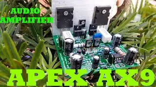 How To Make HIFI Audio Amplifier At Home | American Electronics | LCSC Electronics