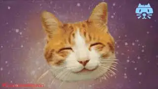Zen cat - meditation music - Space Cats relax - by Cats on a Mission | Spacecats