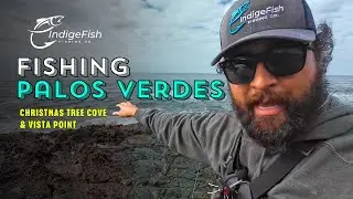 Surf Fishing the Coves at Vista Point!