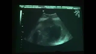 AVmotional pres. MAKUNOUCHI BENTO / Kavdanska / Tarus - IDM/Glitch/8bit Music Live Performance