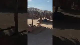 Райский остров Парадайз Paradise Хургада Египет #travel #море #отдых #Paradise #Хургада