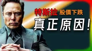 【Tesla每日快訊】 Tesla股價暴跌8%！Q2財報藏了什麼秘密？為何市場信心動搖？🔥川普與馬斯克恩怨情仇（2025/7/25-1）