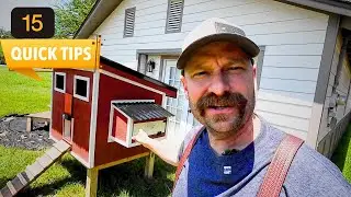 15 Backyard Chicken Coop Tips Every Beginner Needs to Know