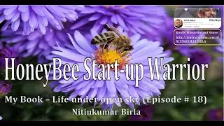 HoneyBee Start-up Warrior