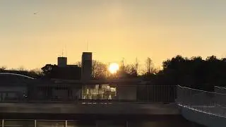 ２０２６年　初日の出【すやすや】