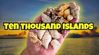 Shelling the TEN THOUSAND ISLANDS after a HURRICANE 🌀