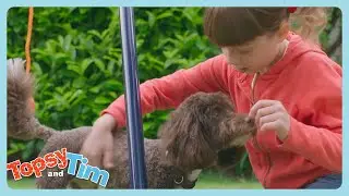 Topsy et Tim en Fran&ccedil;ais | Nouveau chien | WildBrain Enfants | Compilation d'&Eacute;pisodes