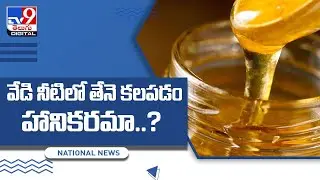 Honey in warm water harmful to health, here's why - TV9
