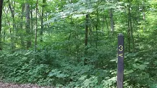 An inside look at Turkey Run's nationally-ranked Trail 3