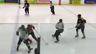 Chesswood Arena Drop In 9