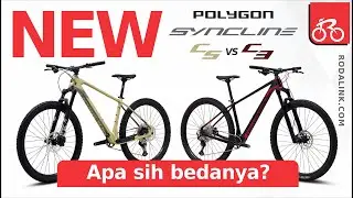 New Polygon Syncline! Apa bedanya sih C3 dan C5?