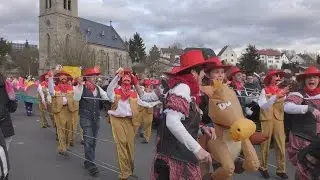 Rosenmontagszug in Naumburg 2017 von tubehorst1