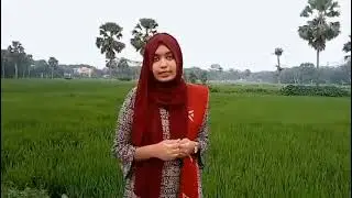 Report presentation: Fatema Akhter, Course Work, Department of Urdu, University of Dhaka فاطمہ اختر