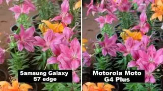 Samsung Galaxy S7 edge VS Motorola Moto G4 Plus Camera Review | Snap's | Test | Photo's