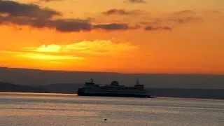 Seattle Vlog : Myrtle Edwards Park, Seattle (Amazing Sunset)
