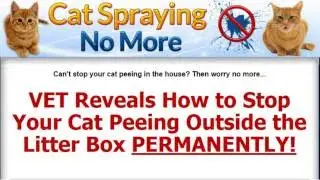 Cat spraying no more review - Scam or Legit?
