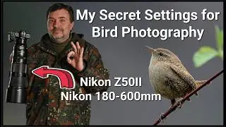 Nikon Z50 II: наиболее важные настройки для фотосъемки птиц и дикой природы.