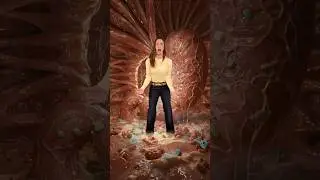 Как папа спас мою маму