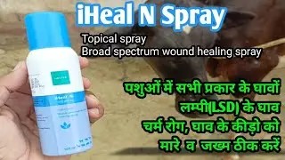iHeal- N Spray Broad-spectrum Wounds healing spray for animal || FMD || पशुओं में घाव,कीड़े, चर्म रोग