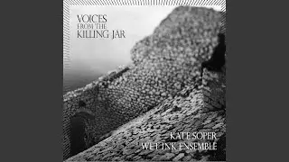 VIII. Her Voice Is Full of Money (A Deathless Song) : Daisy Buchanan (feat. The Wet Ink Ensemble)