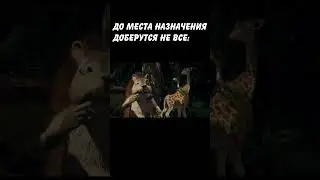 ОПАСНАЯ ТРОПА: #shorts #рекомендации #мем #memes #anime #art #shortvideo #short #funny