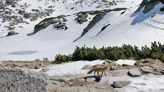 Zážitková Zbojnícka chata (1960m), 4k slowmotion GoPro 10