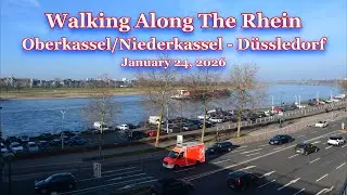 Walking Along The Rhine - Oberkassel/Niederkassel Düsseldorf - January 24, 2026